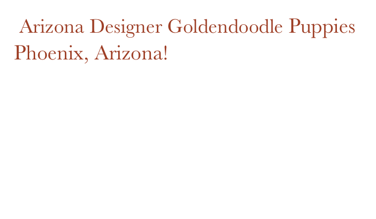  Arizona Designer Goldendoodle Puppies                 Phoenix, Arizona!       mhoman1010@yahoo.com



